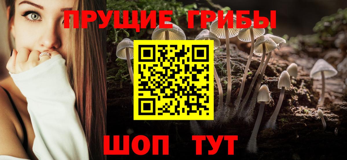Псилоцибиновые грибы мицелий Хабаровск