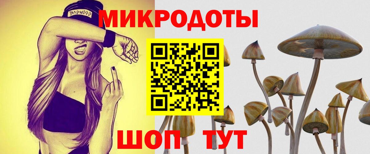 Галлюциногенные грибы GOLDEN TEACHER  Вход с VPN  Псилоцибиновые грибы Magic Shrooms  Хабаровск 
